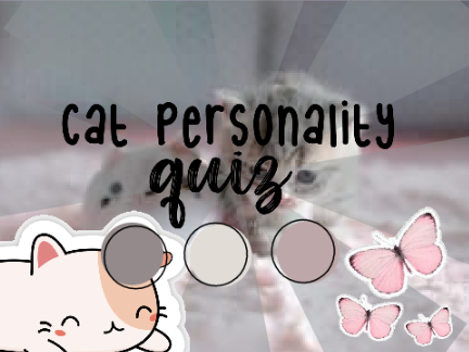 ➵ cat personality quiz ˊˎ- 