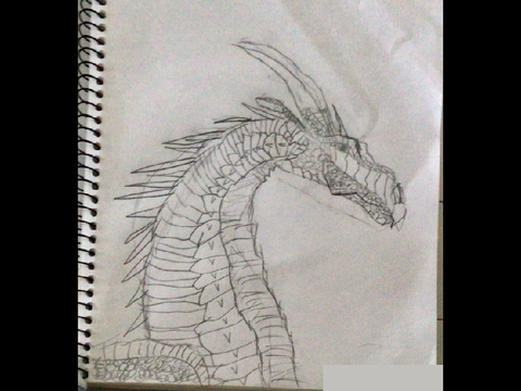 My wings of fire drawing of Darkstaker