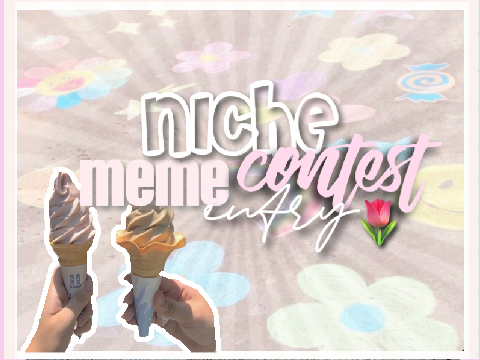 500+ niche meme contest entry 