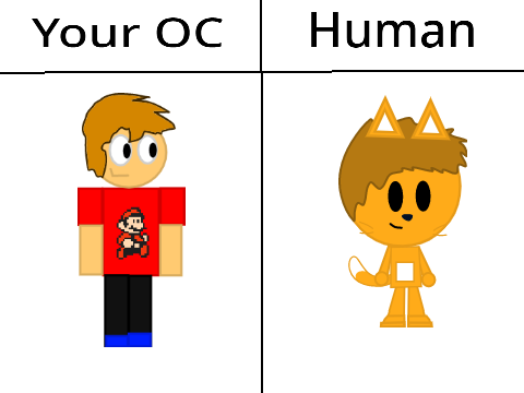 Put Your OC Here And I'll Make It As A Human remix