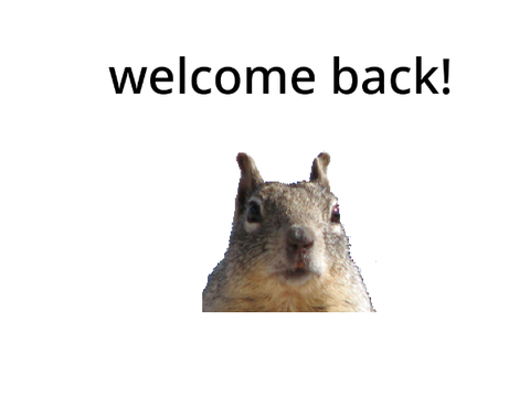 welcome back!