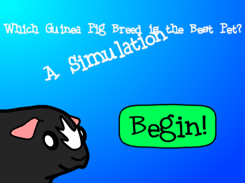 Genius Hour Project: Guinea Pig Breeds