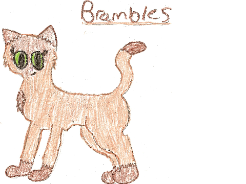 Brambles! (I am way to proud of this)