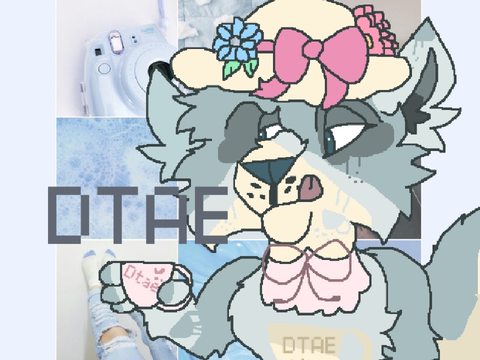 DTAE