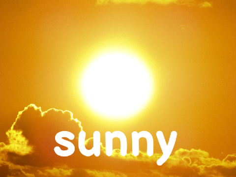 SUNNY | WOF WIKI IN GRACE'S PERSPECTIVE