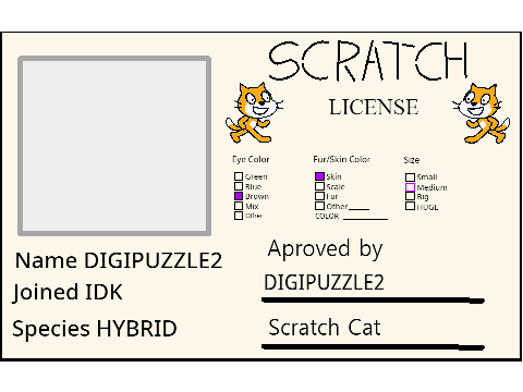 Make Your Own Scratch License remix