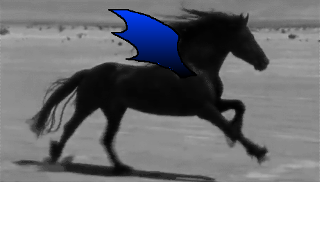 Black Arabian Pegasus Test
