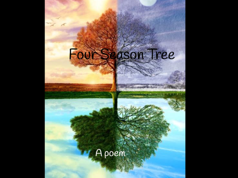 Four Seasons Tree: A Poem