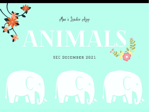 ★ Mae's Leader App ★ SEC December 2021 ★