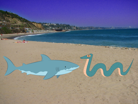 shark vs. snake