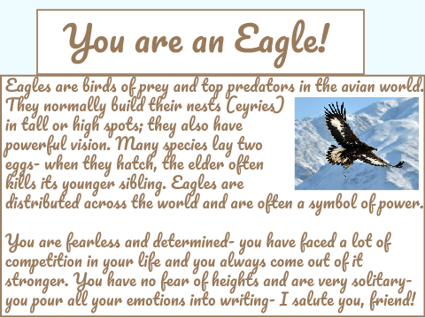 Which bird r u?