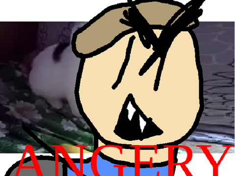 He not like the banana 