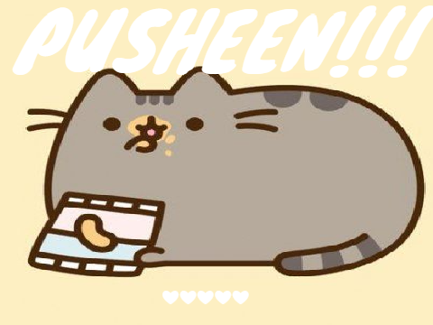 Pusheen!!! ❤❤❤❤❤❤❤❤❤