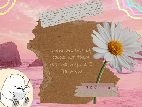 - Aesthetics -