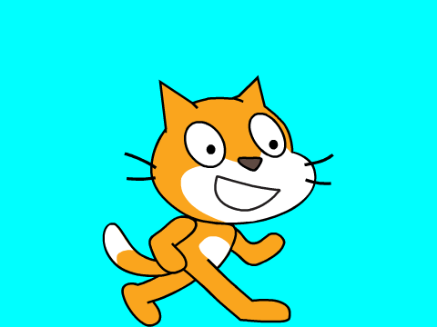 Check Meowt!