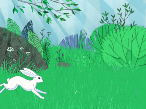 Rabbit Jumper