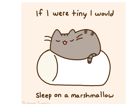 pusheen gifs