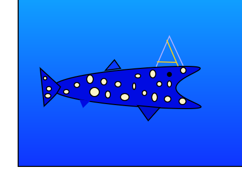 Whale Shark
