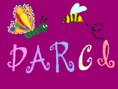 Darci
