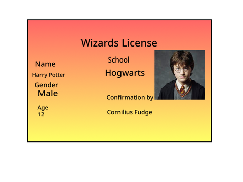 Harry Potter license 