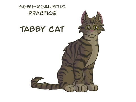 Semi-Realistic Practice - Tabby Cat