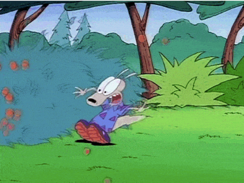 I found a photo from Rocko’s Modern Life!
