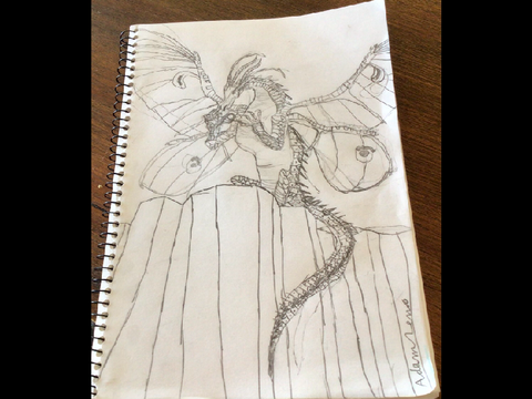 My drawing of Luna from wings of fire (art contest entry)