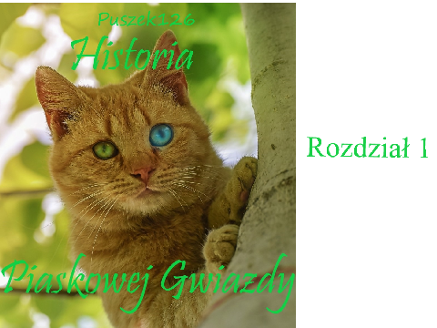 Historia Piaskowej Gwiazdy/Rozdział 1