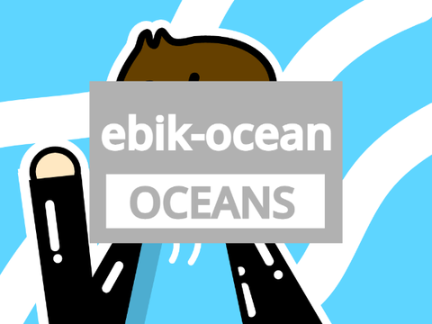PFP REQUEST II OCEANS