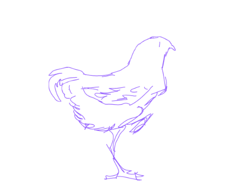 Animation Test