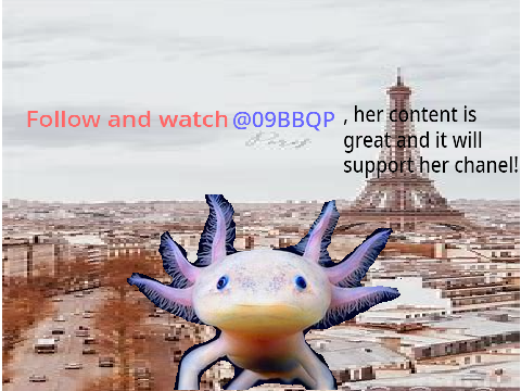 Follow  @09BBQP (please watch)