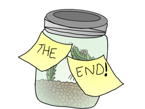 Our Aquatic Ecosystem (animation) Kira V.