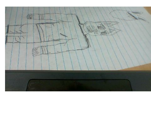 Drawing Of A Cat Person