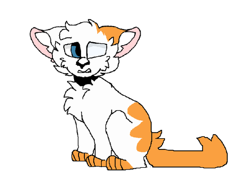 Audition Entry-Gingerkit