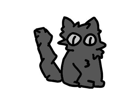 Look at this cat