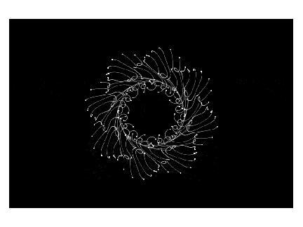 Moving vortex thingy