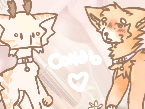 ♡ collab