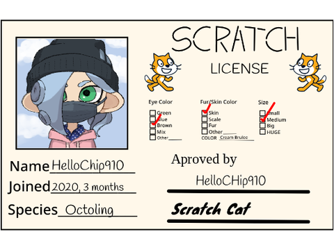 my scratch licnse.