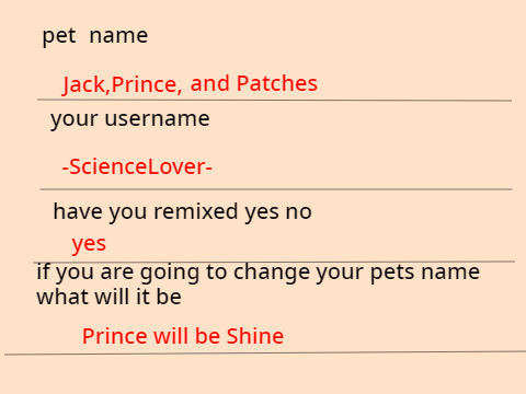 pet adoption center remix