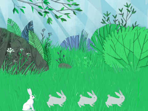 Marching Rabbits
