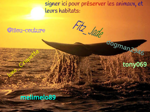 Pour les animaux !Remixe et ajoute ton pseudo /remix remix...