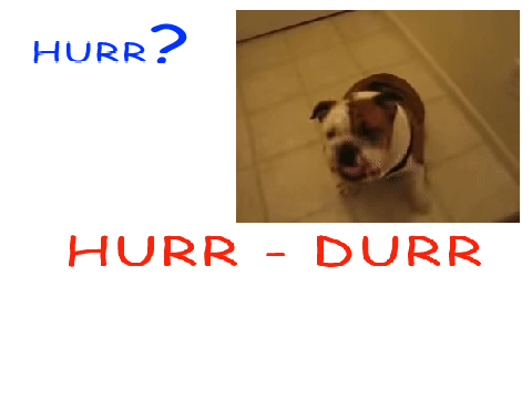 HURR-DURR