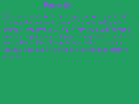How to Get A Bearded Dragon to Eat Its Greens