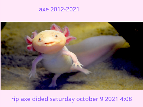 rip axe