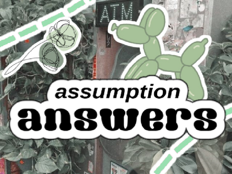 ❛ assumption answers ❜