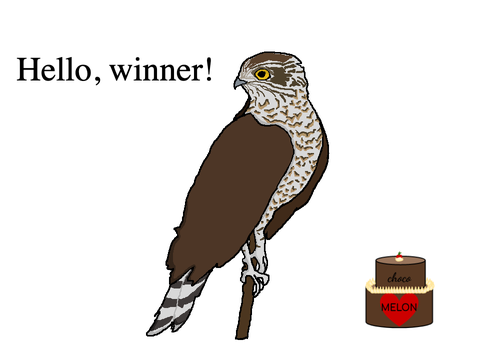 Falcon Coloring Contest!