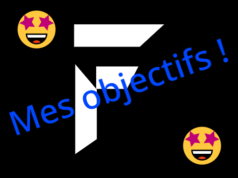 Mes objectifs