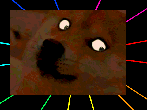 WAHT?