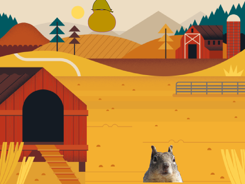 acorn collector             #games