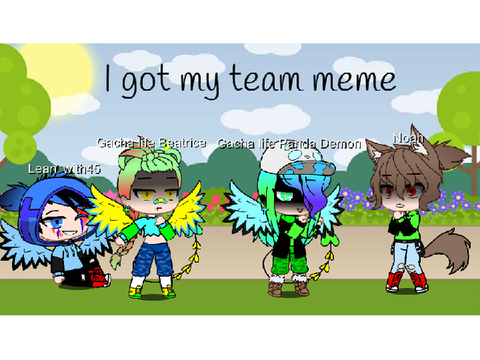 I got my team meme